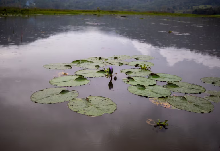 laguna del oconal villa rica airbnb casa machi 3